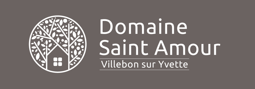 Domaine Saint Amour Logo